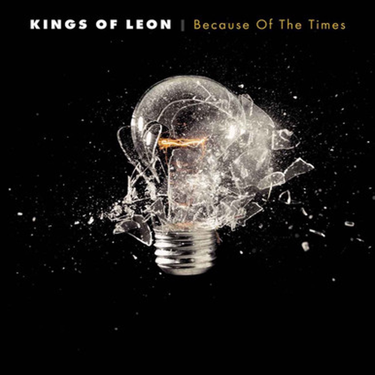 Kings Of Leon - Because Of The Times (2LP)