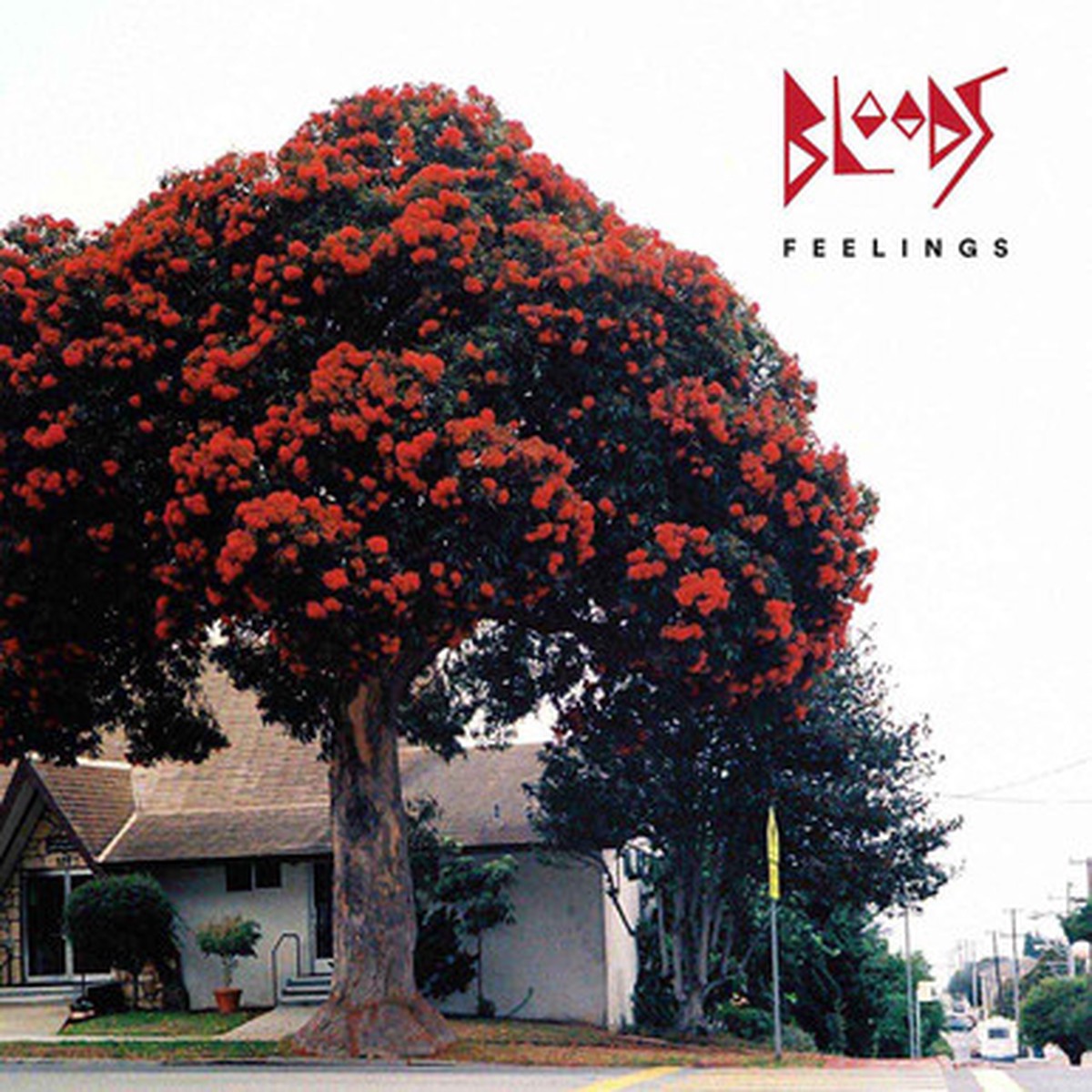 Bloods - Feelings (LP)