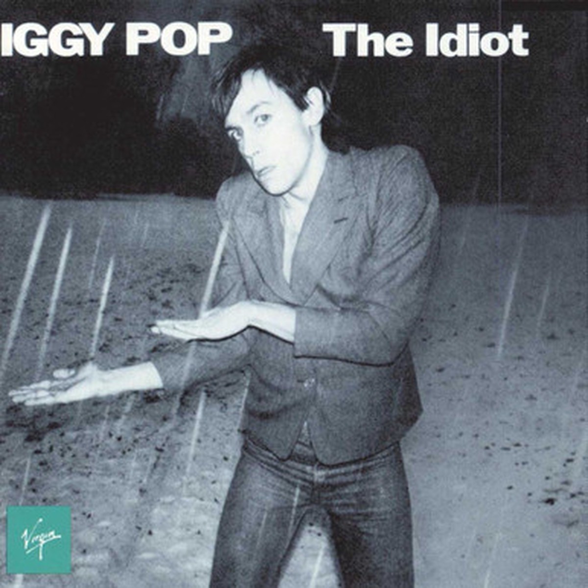 Iggy Pop - The Idiot (LP)