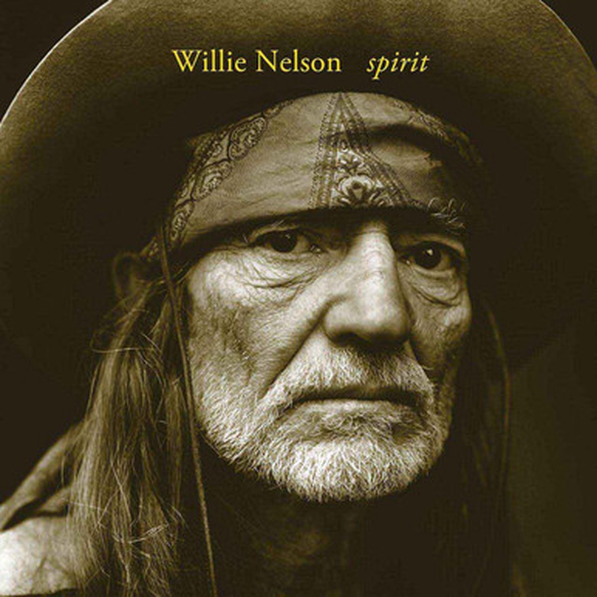 Willie Nelson - Spirit (LP)