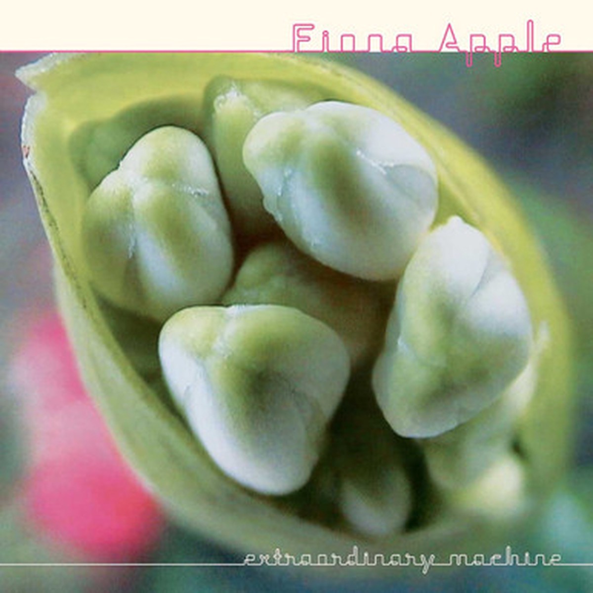 Fiona Apple - Extraordinary Machine (2LP)