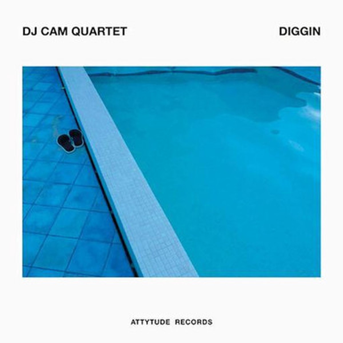 DJ Cam Quartet - Diggin (LP) - Blue Vinyl