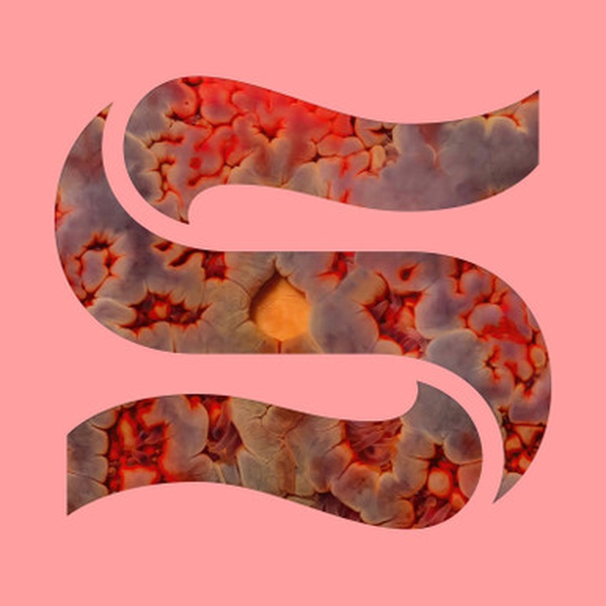 Kaitlyn Aurelia Smith & Joe Goddard - Neptunes EP (EP)
