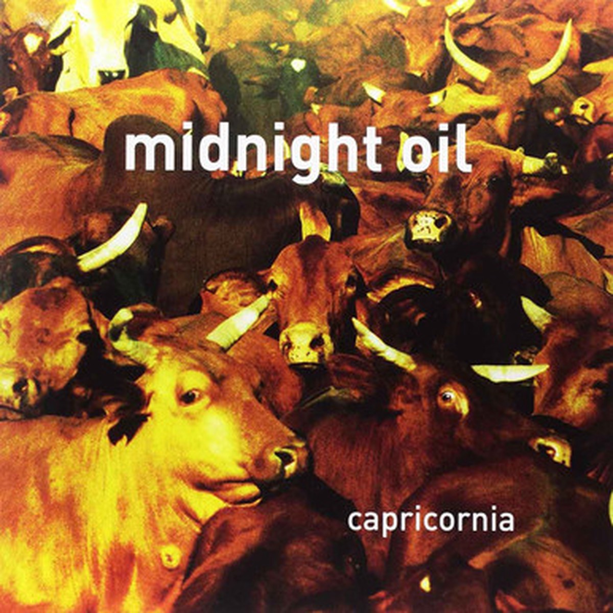 Midnight Oil - Capricornia (LP)
