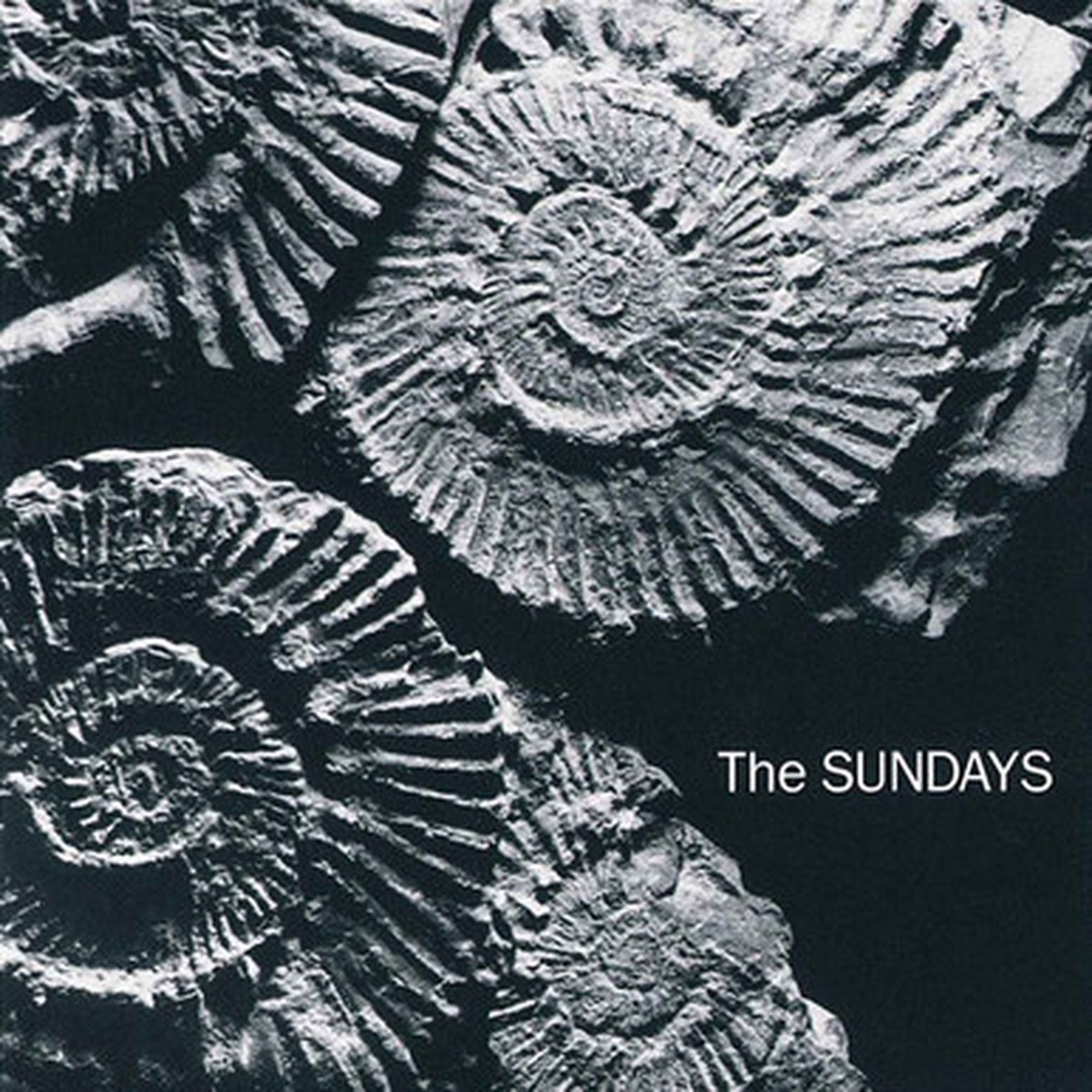 The Sundays - Reading, Writing And Arithmetic (LP) - Dark Grey Vinyl