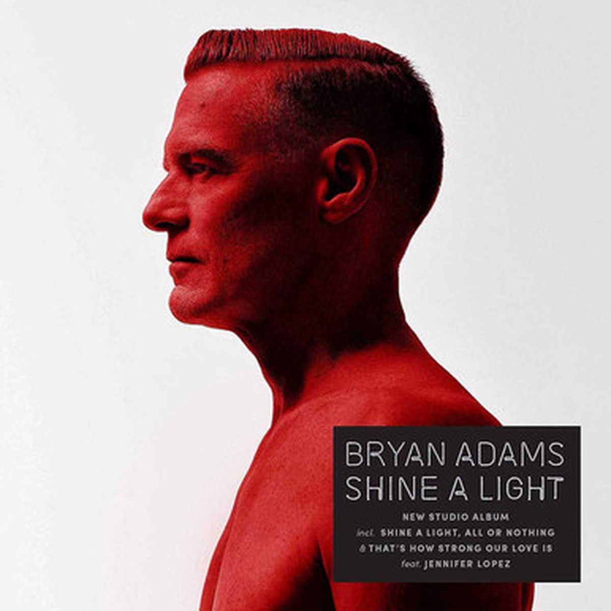 Bryan Adams - Shine A Light (LP) - Repress