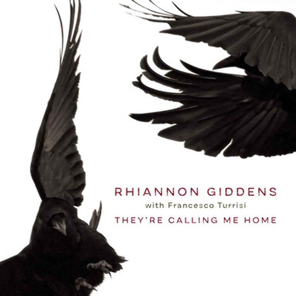 Rhiannon Giddens With Francesco Turrisi - They're Calling Me Home (LP)