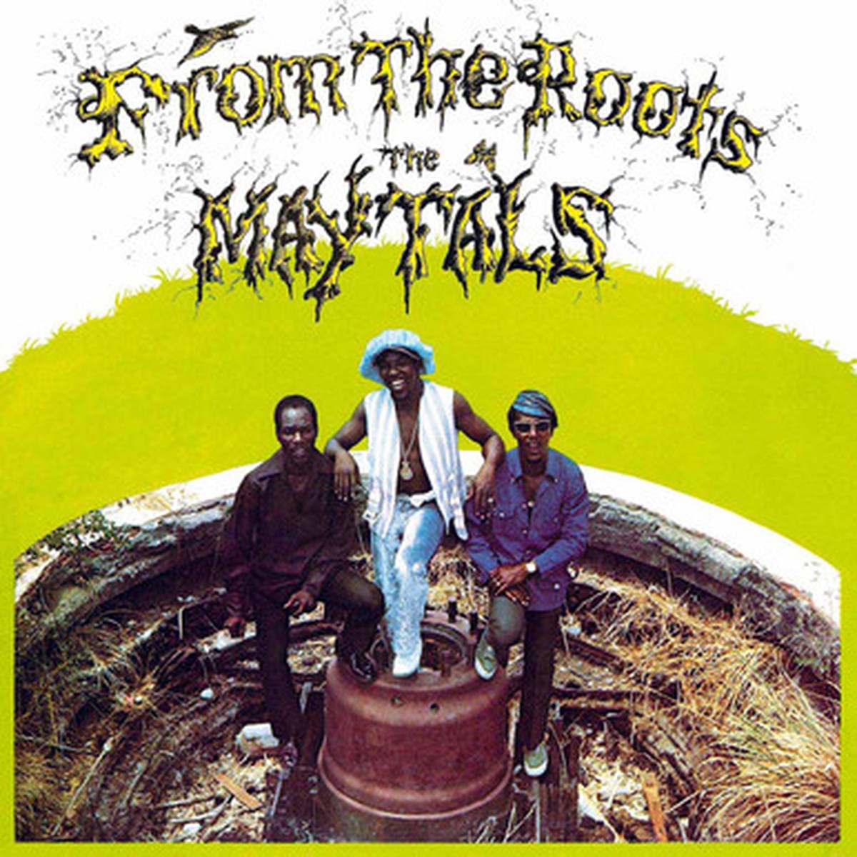 The Maytals - From The Roots (LP) - Numbered Limited Edition Yellow & Translucent Green Marbled Vinyl