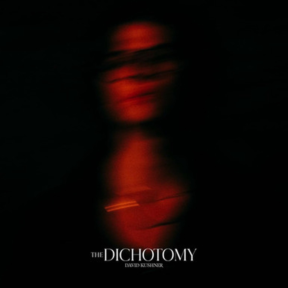 David Kushner - The Dichotomy (2LP)