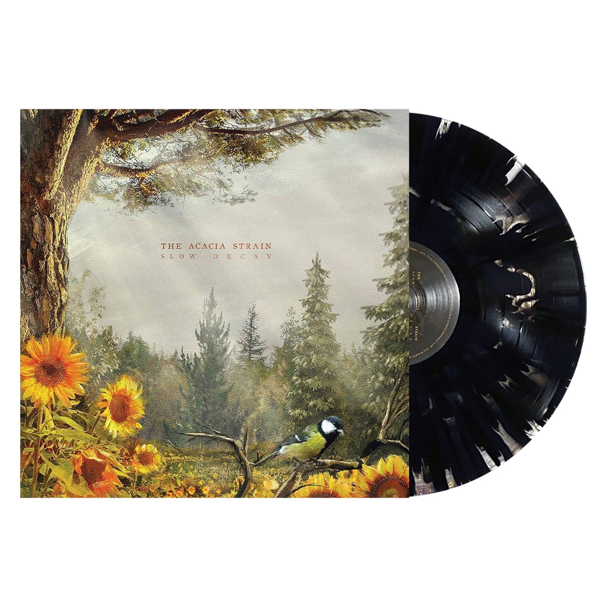 THE ACACIA STRAIN SLOW DECAY LP (Limited Edition Only 300 made, Black Cloudy Vinyl)