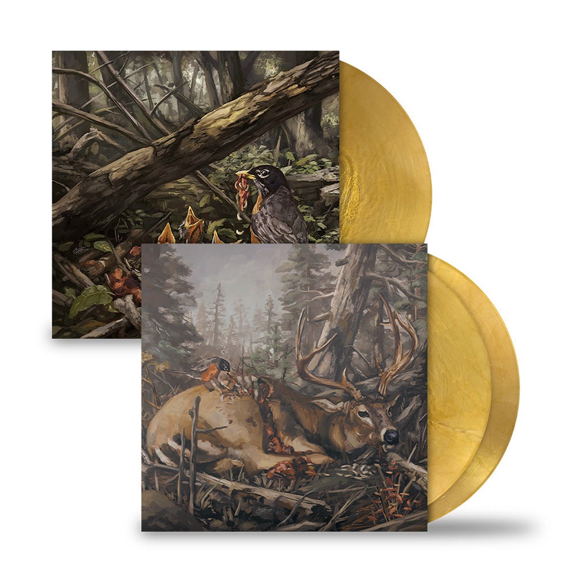 THE ACACIA STRAIN STEP INTO THE LIGHT LP & 'FAILURE WILL FOLLOW' 2LP (Limited Edition Bundle Only 100 made, Gold Metallic Swirl Vinyl)