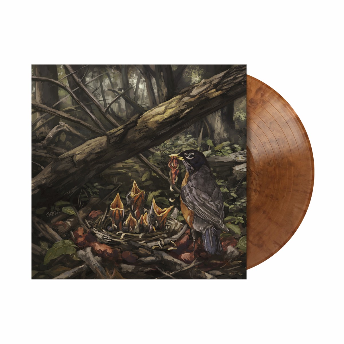 THE ACACIA STRAIN STEP INTO THE LIGHT LP (Limited Edition Only 400 made, Pearlescent Copper Swirl Vinyl)