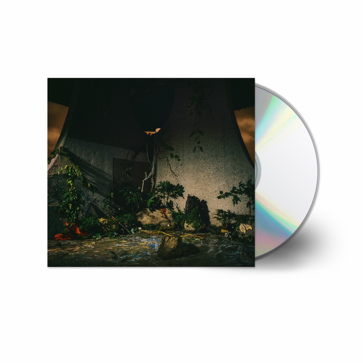 THE PLOT IN YOU THE PLOT IN YOU' CD