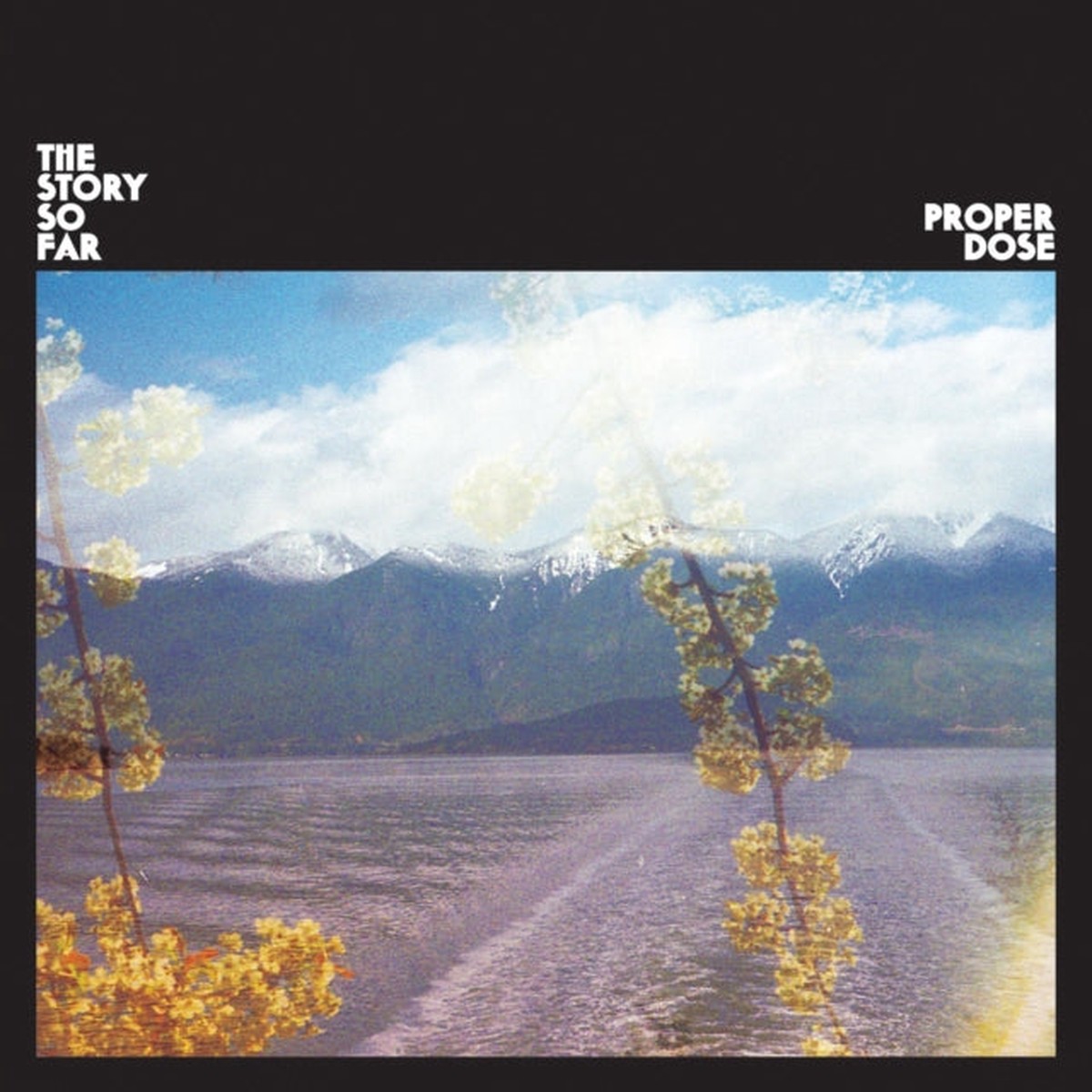 THE STORY SO FAR 'PROPER DOSE' LP (Color Vinyl)