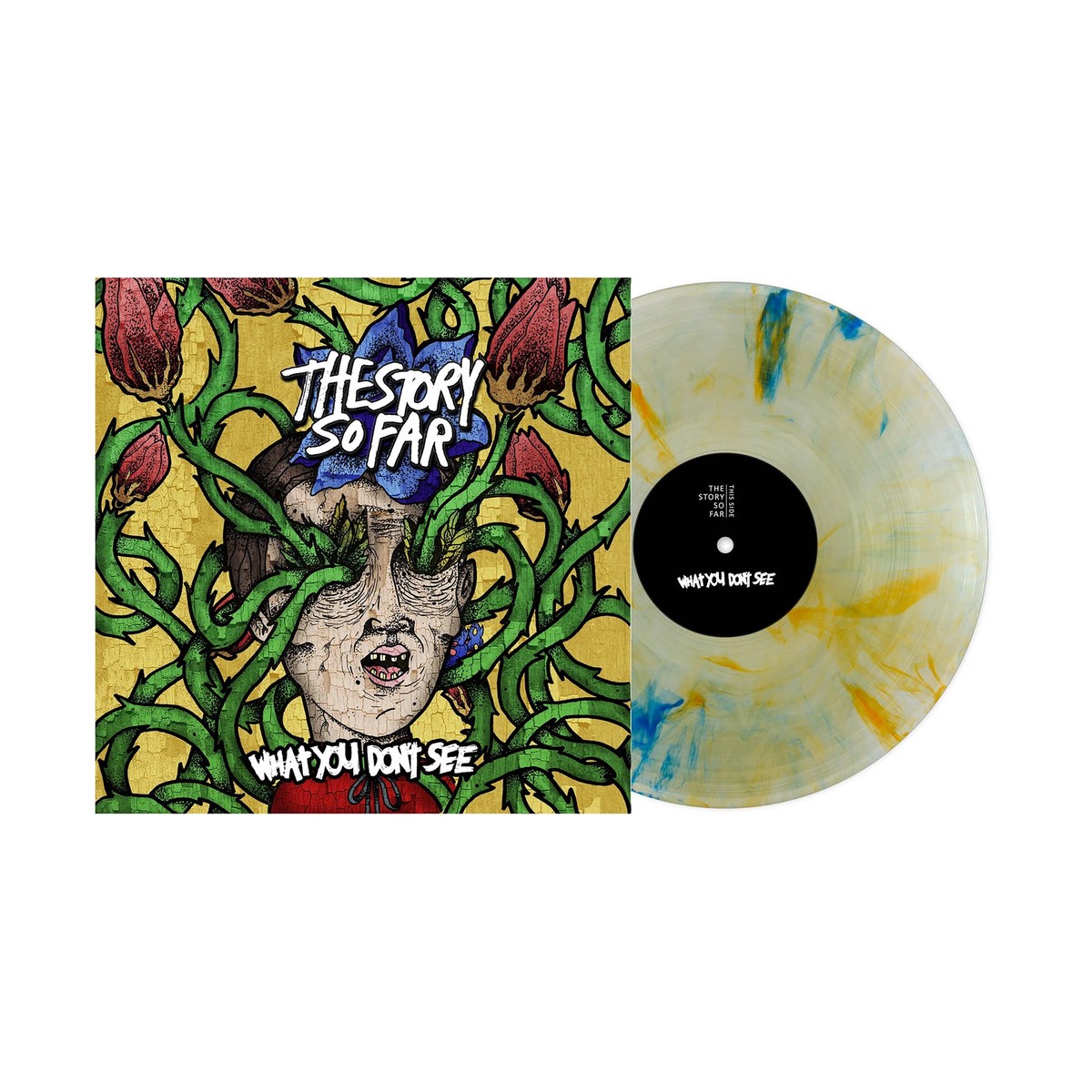 THE STORY SO FAR 'WHAT YOU DON'T SEE' LP (Tide Pods Marble Vinyl)