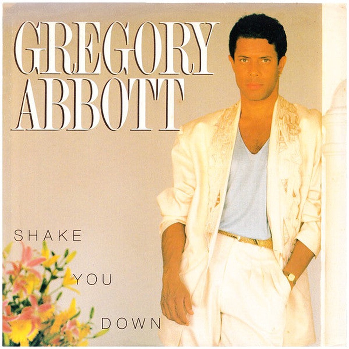 Abbott, Gregory - Shake You Down (VG)