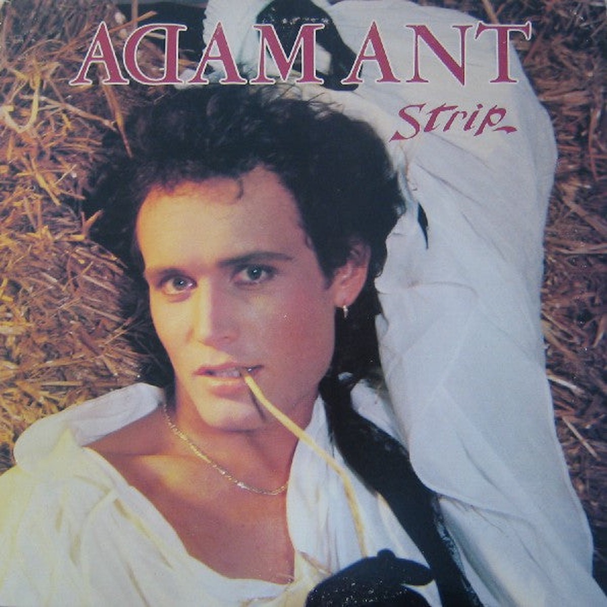 Adam Ant - Strip (Vinyl, VG)