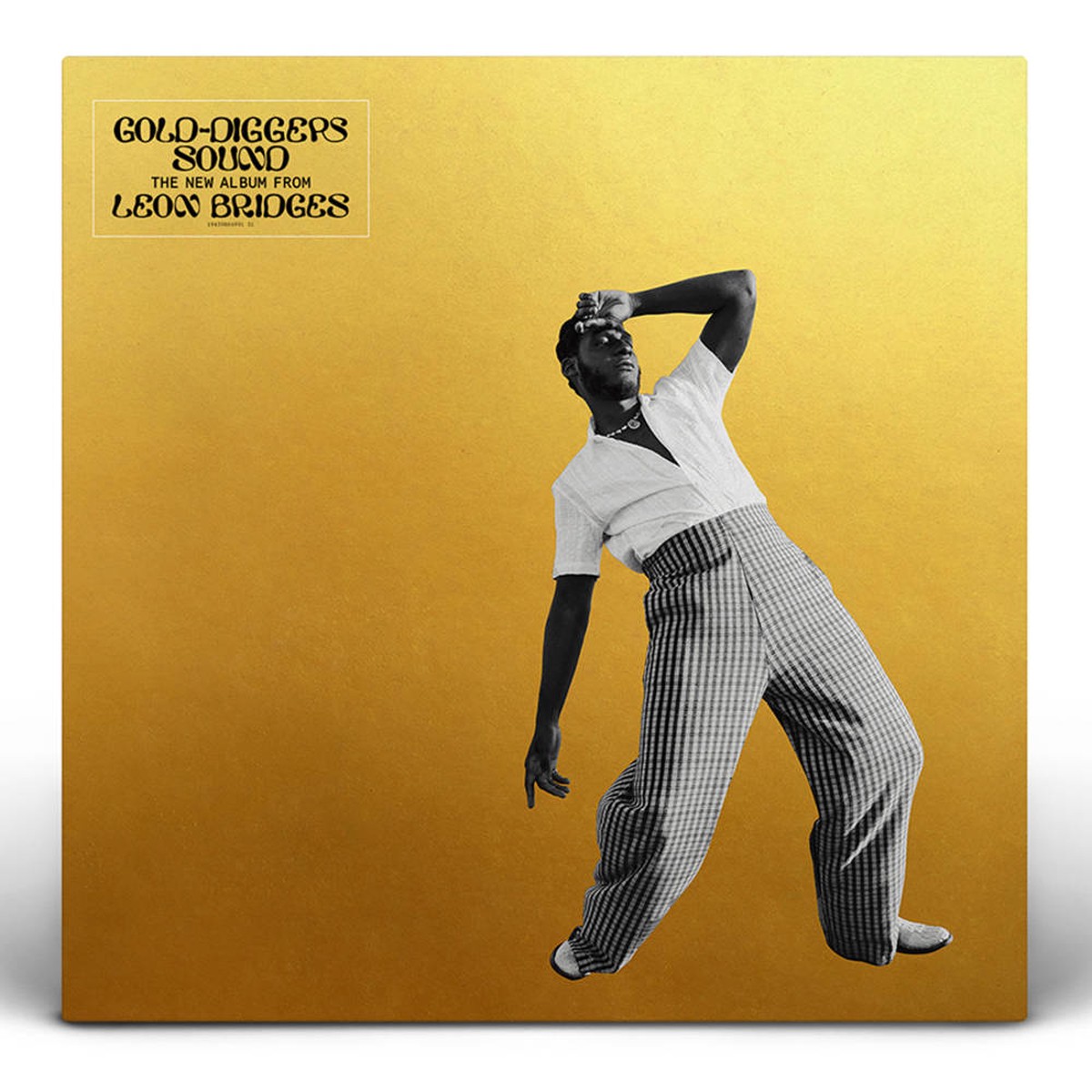 Bridges, Leon - Gold-Diggers Sound