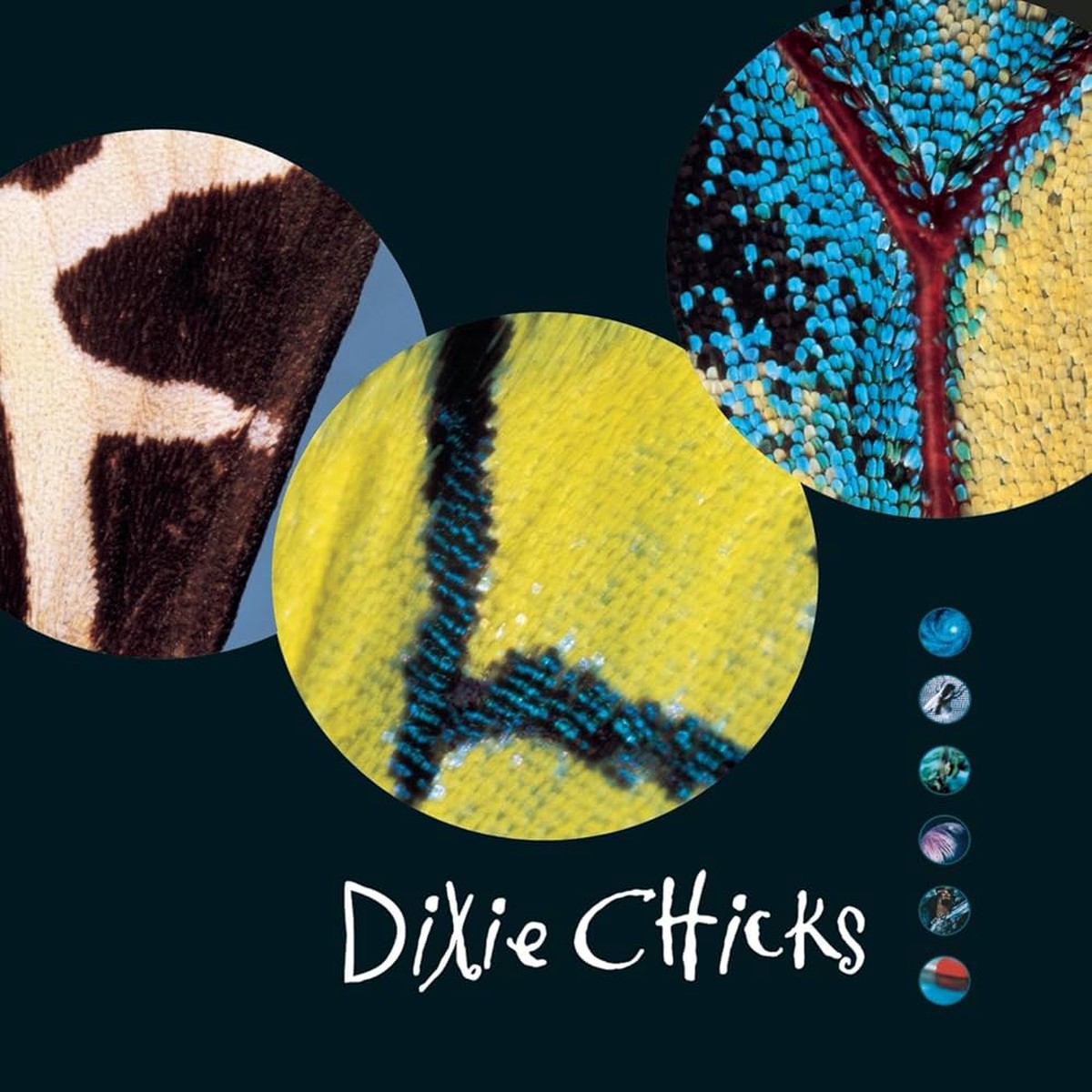 Chicks - Fly