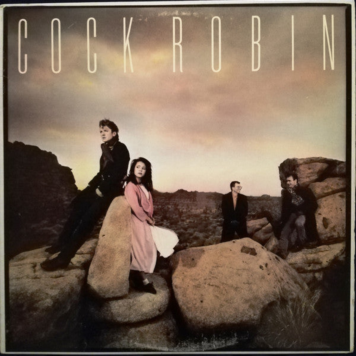 Cock Robin - Cock Robin (Vinyl, VG+)