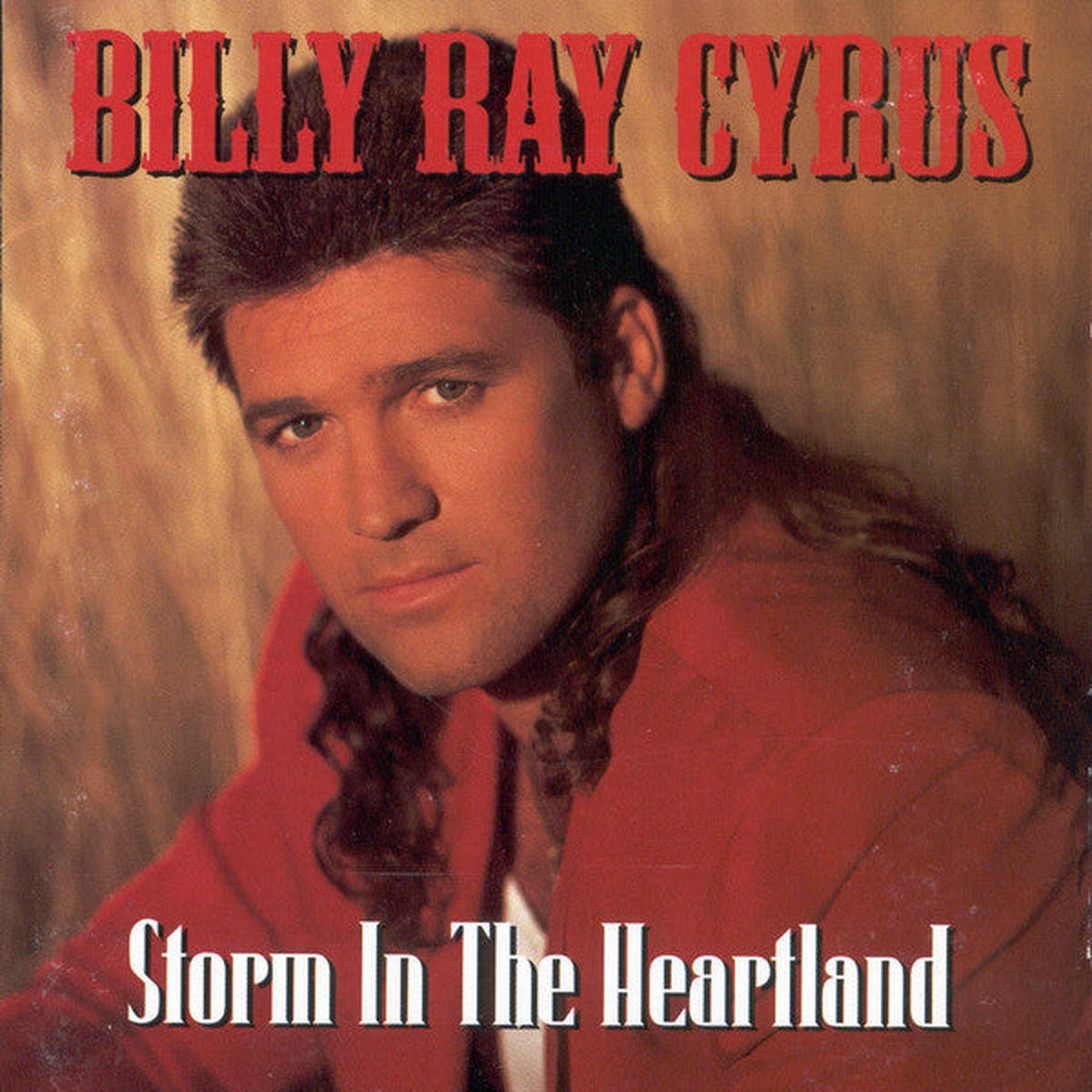Cyrus, Billy Ray - Storm In The Heartland (CD, VG+)