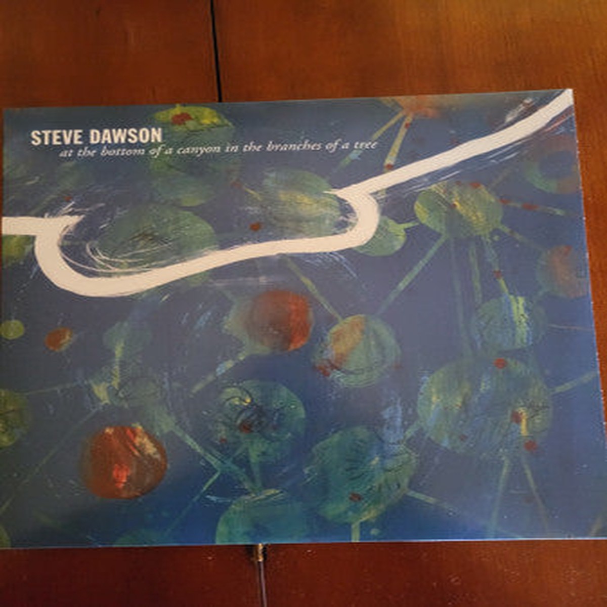 Dawson, Steve - At The Bottom Of A Canyon In The Branches Of A Tree (Vinyl, M)
