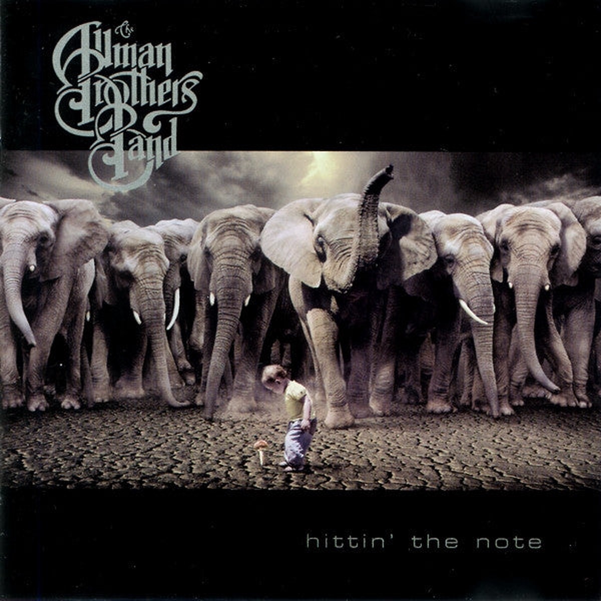 Allman Brothers Band - Hittin' The Note (CD, VG+)