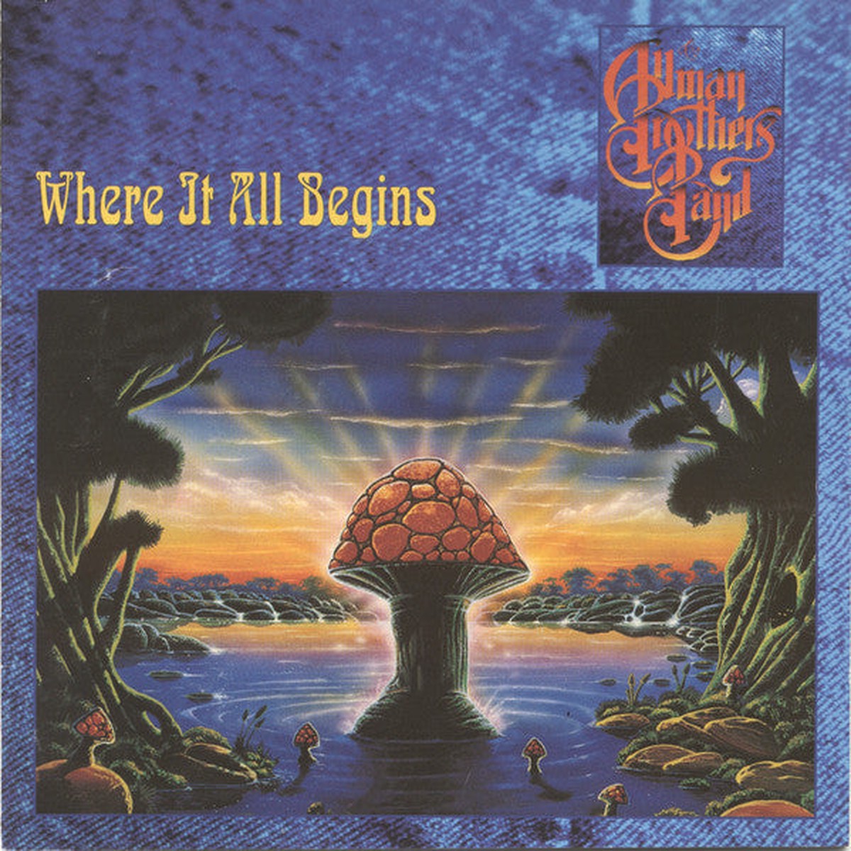 Allman Brothers Band - Where It All Begins (CD, VG+)