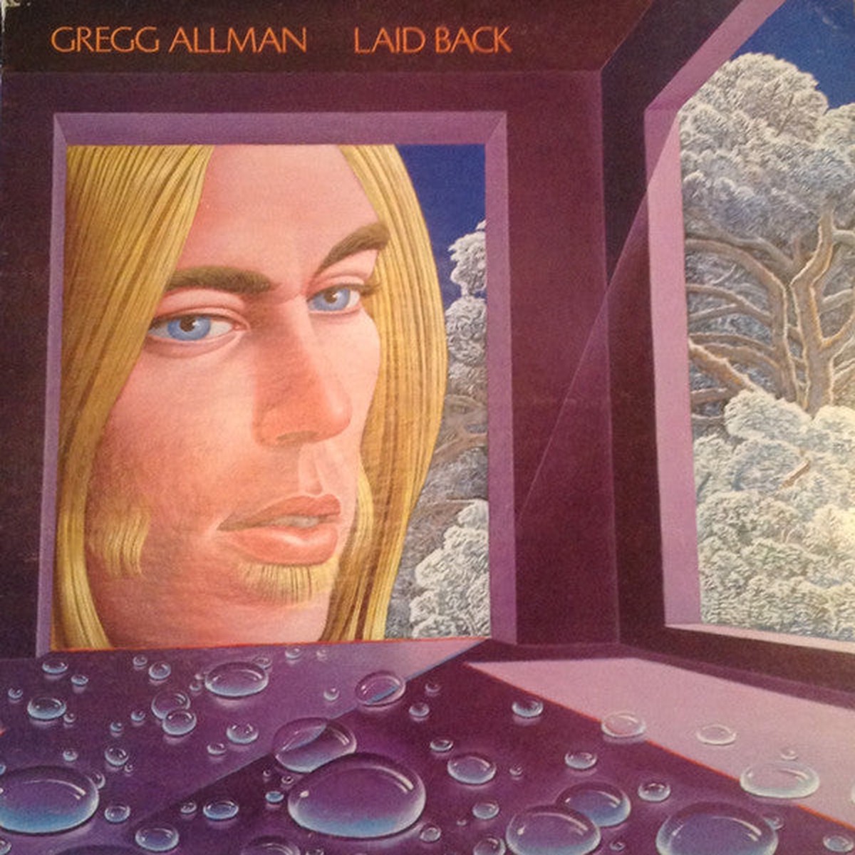 Allman, Gregg - Laid Back (Vinyl, VG+)