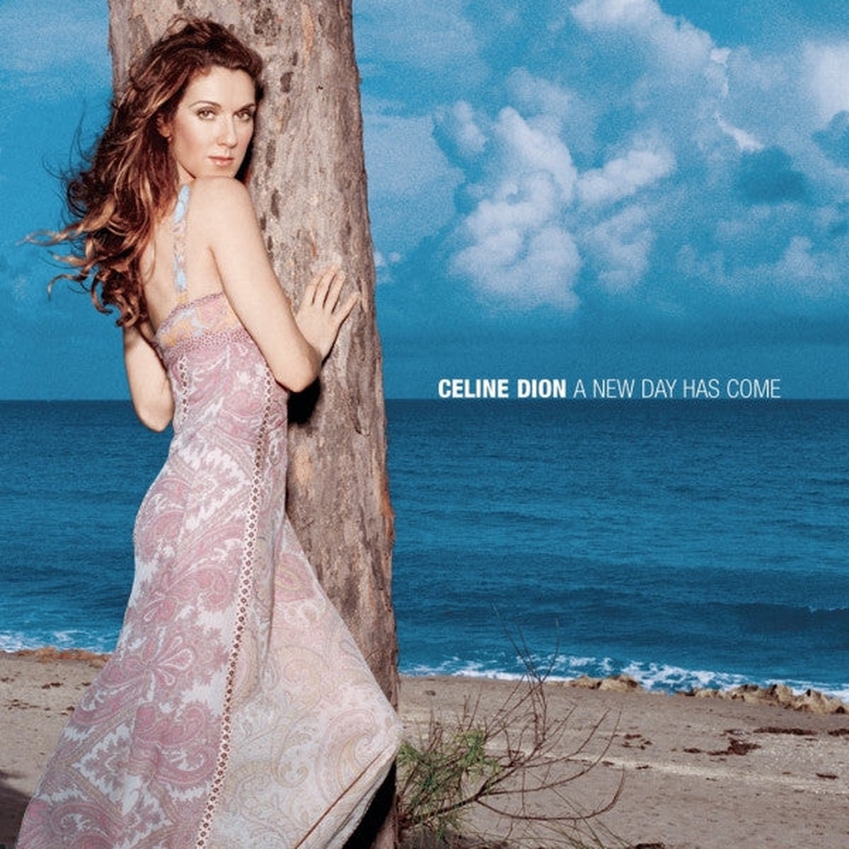 Dion, Celine - A New Day Has Come (CD, VG+)