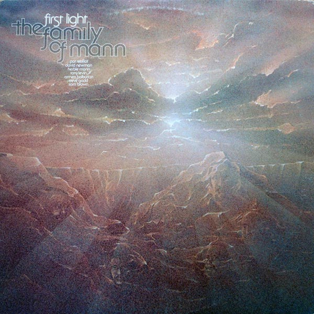 Family Of Mann - First Light (Vinyl, VG+)