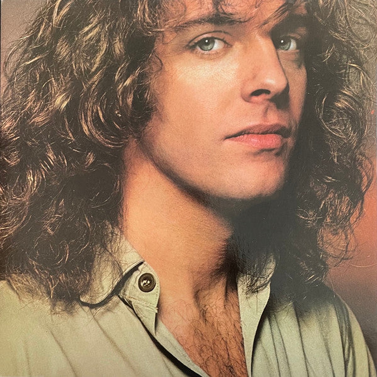 Frampton, Peter - Where I Should Be (Vinyl, VG+)