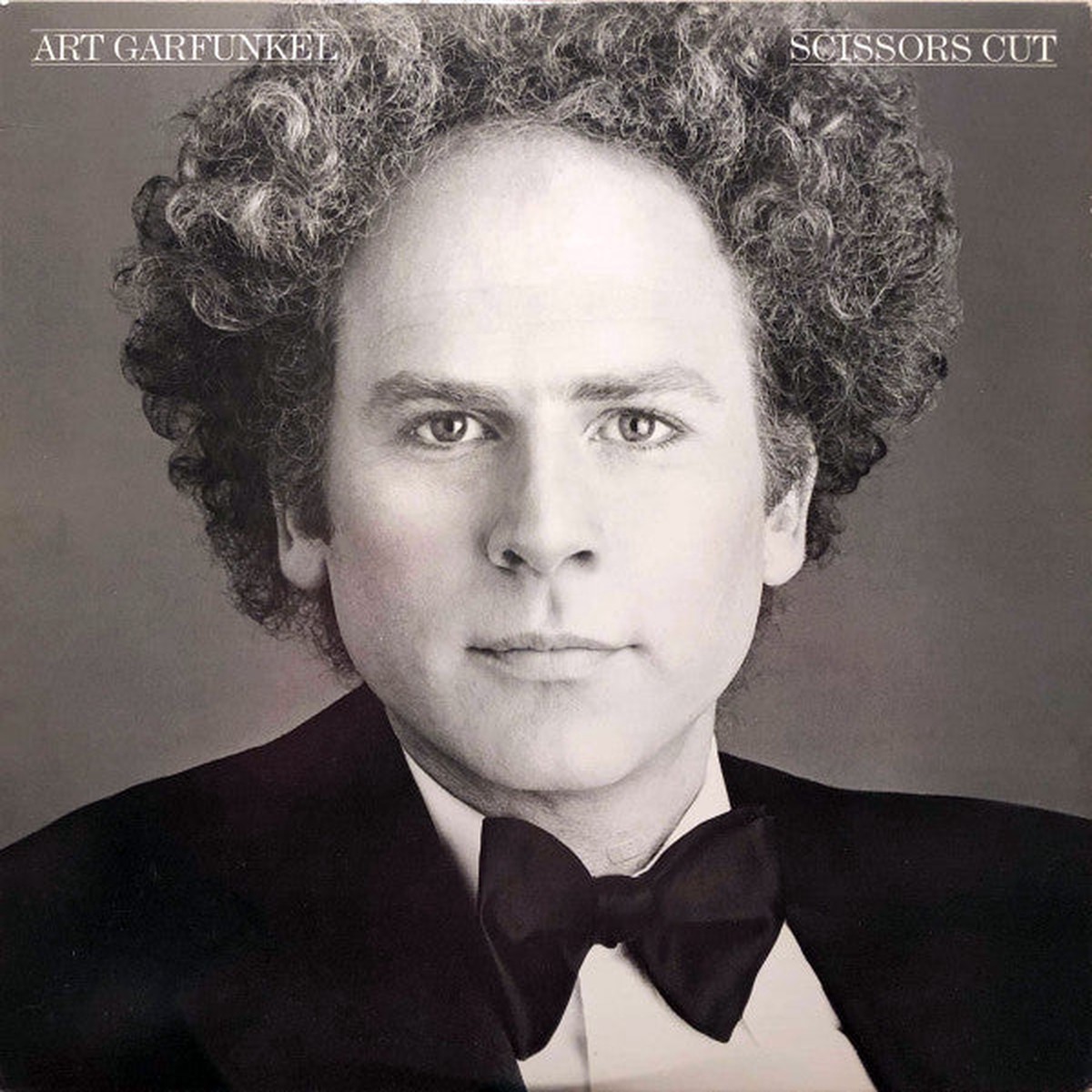 Garfunkel, Art - Scissors Cut (Vinyl, VG+)