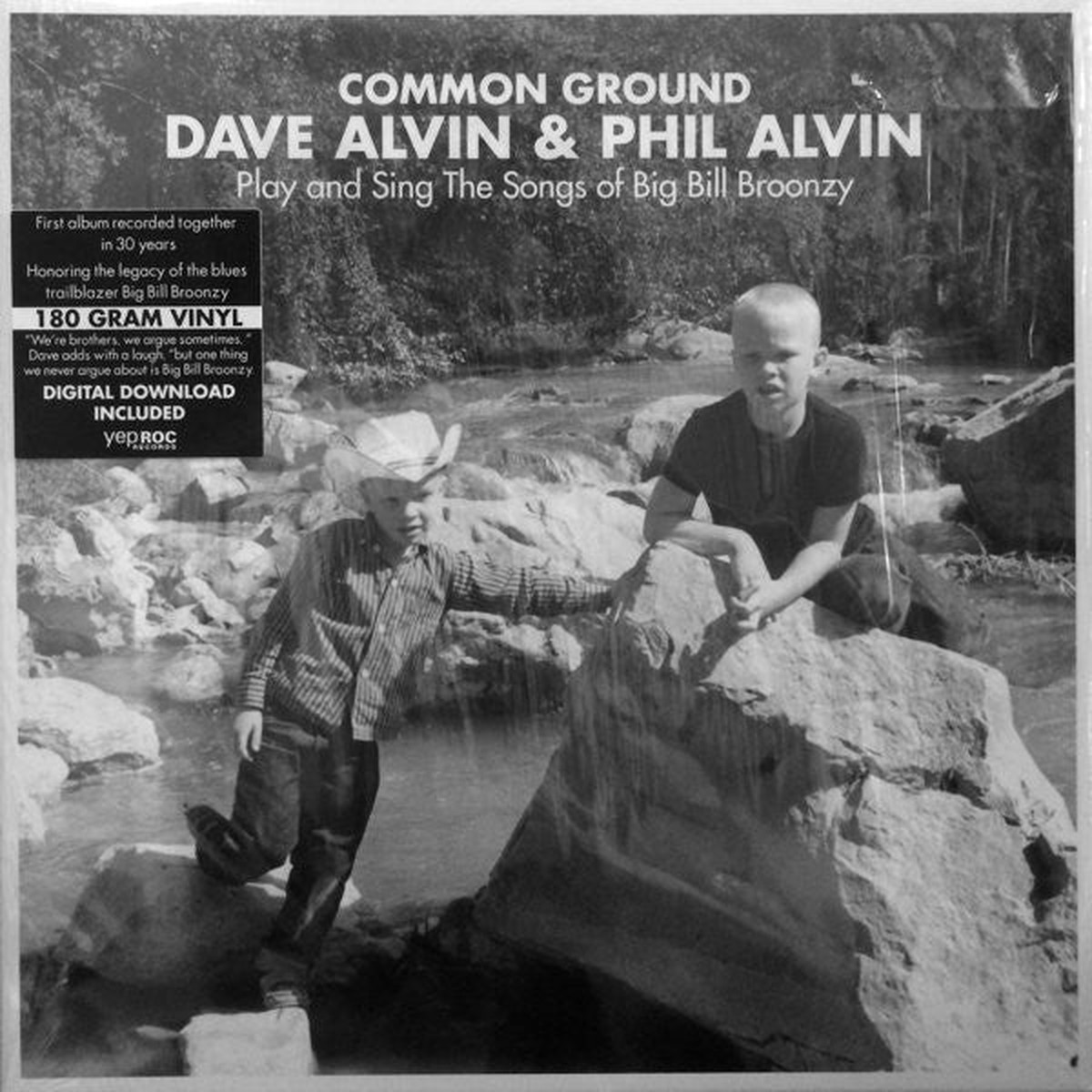 Alvin, Dave & Phil Alvin - Common Ground (Vinyl, NM or M-)