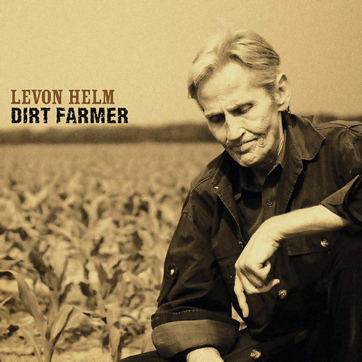 Helm, Levon - Dirt Farmer (CD, VG+)