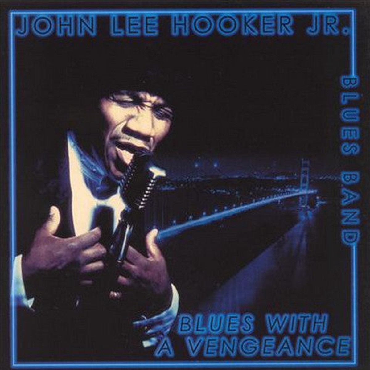 Hooker, Jr., John Lee - Blues With A Vengeance (CD, VG+)