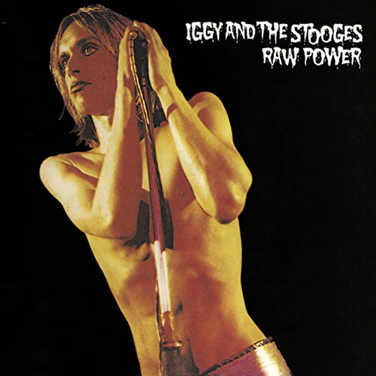 Iggy and the Stooges - Raw Power