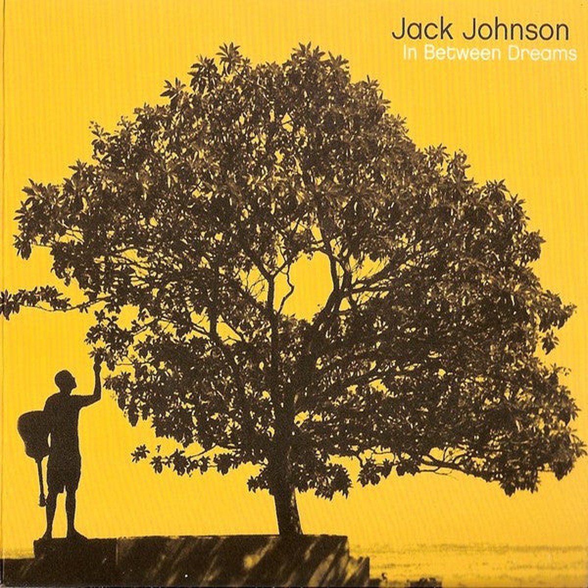 Johnson, Jack - In Between Dreams (CD, VG)