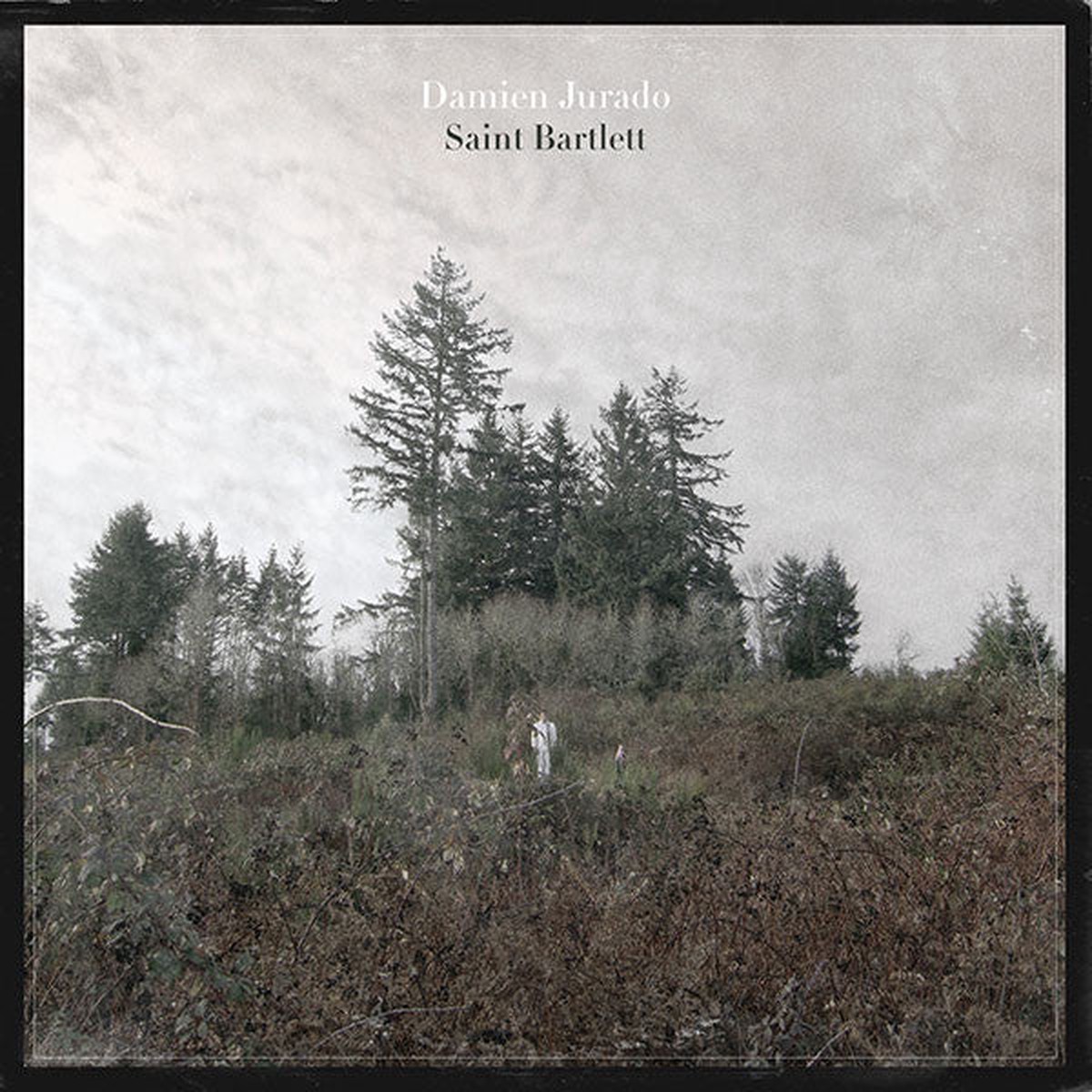 Jurado, Damien - Saint Bartlett (Vinyl, NM or M-)
