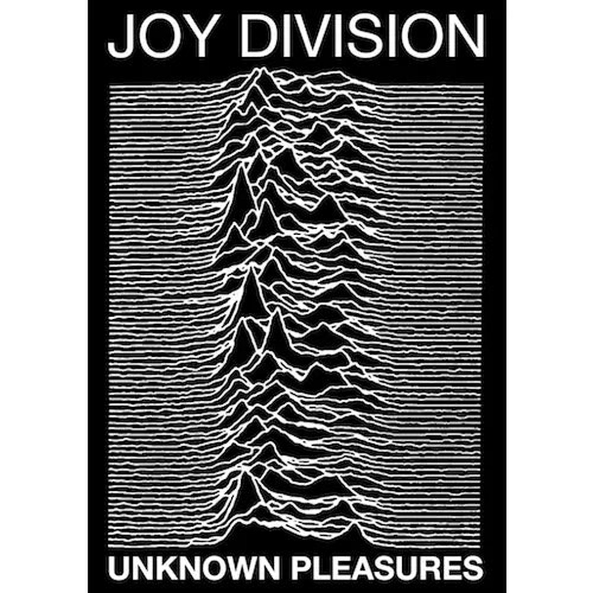 Joy Division Poster 24" x 36"