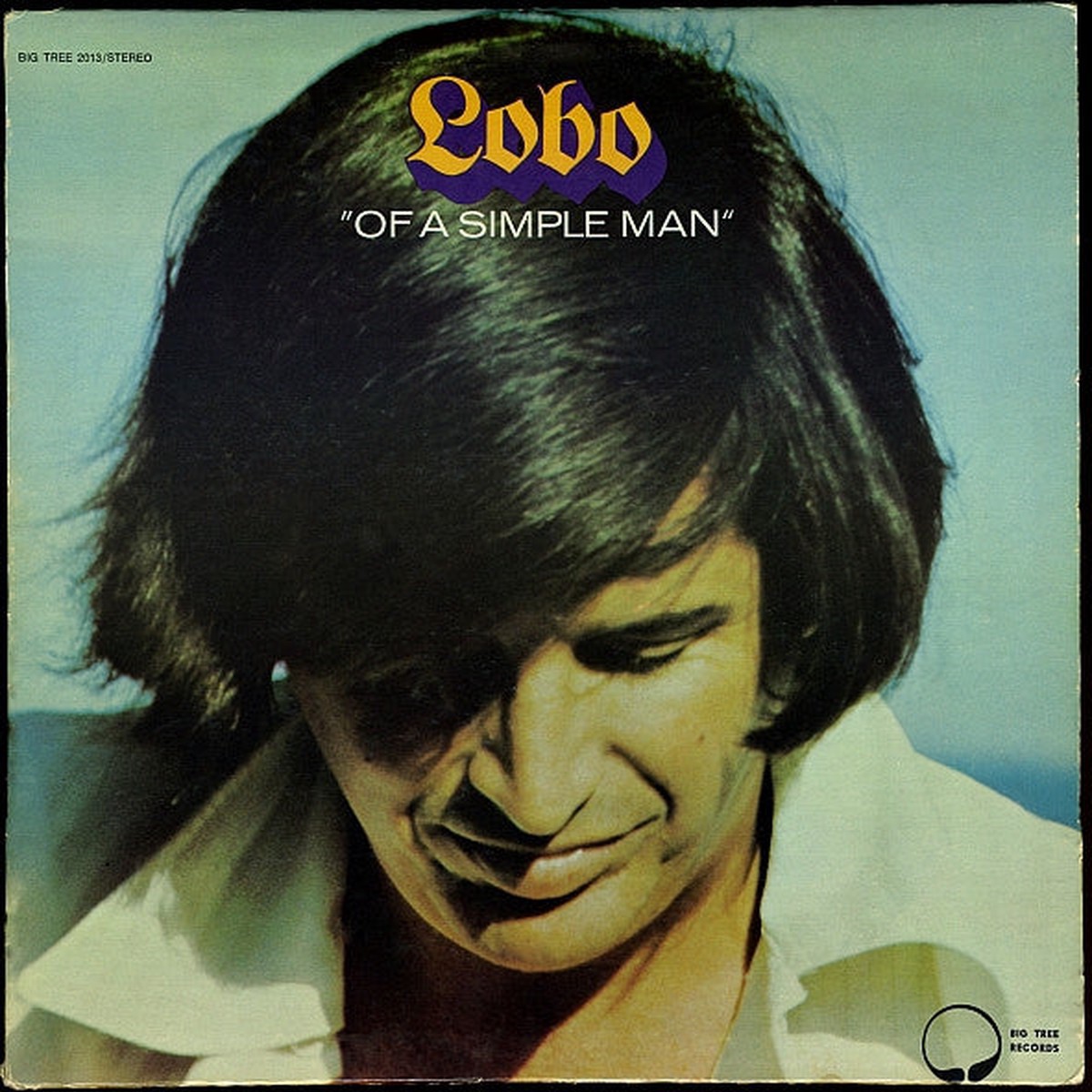 Lobo - Of A Simple Man (Vinyl, VG+)