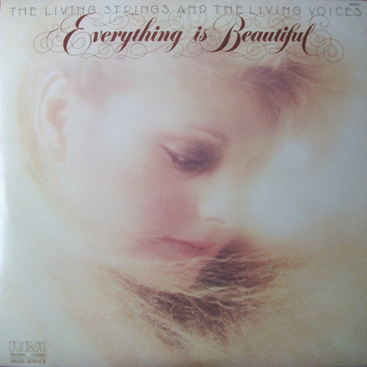 Living Strings And The Living Voices - Everything Is Beautiful (Vinyl, VG+)