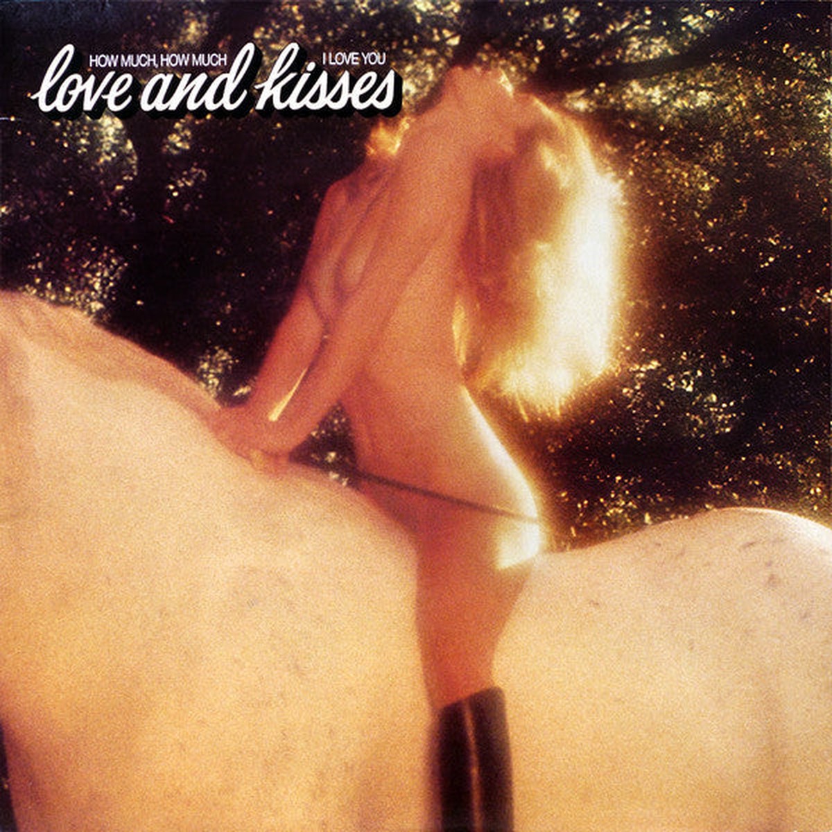 Love And Kisses - How Much, How Much I Love You (Vinyl, VG+)