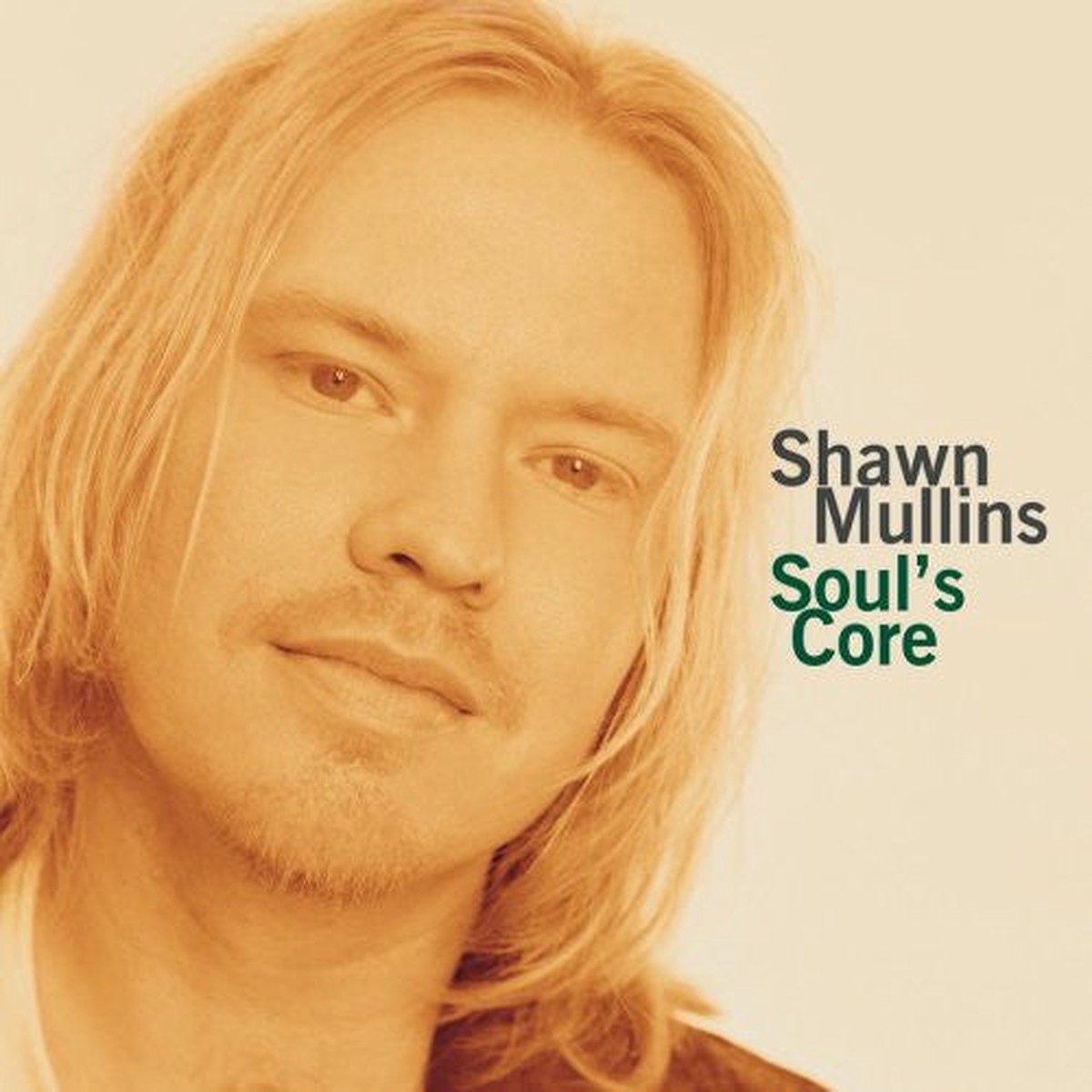 Mullins, Shawn - Soul's Core (CD, VG)