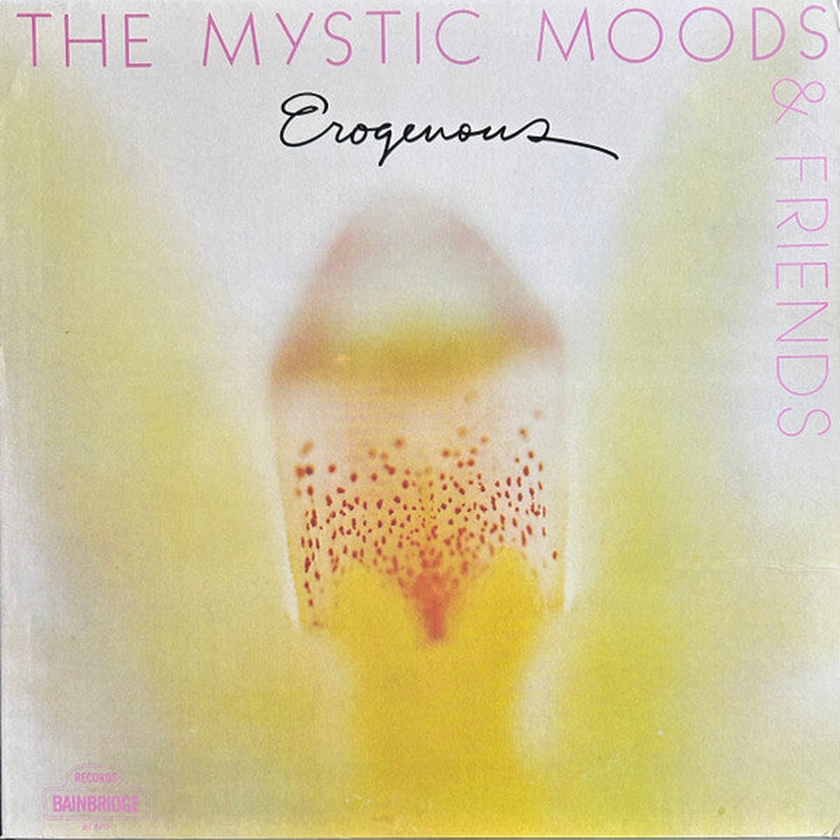 Mystic Moods & Friends - Erogenous (Vinyl, VG+)
