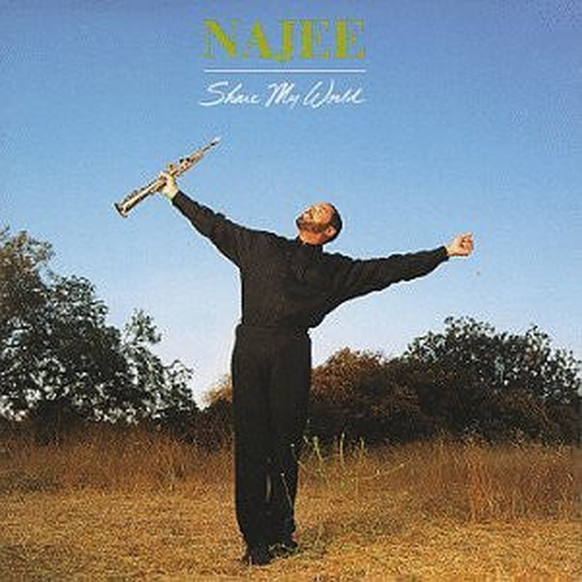 Najee - Share My World (CD, VG+)