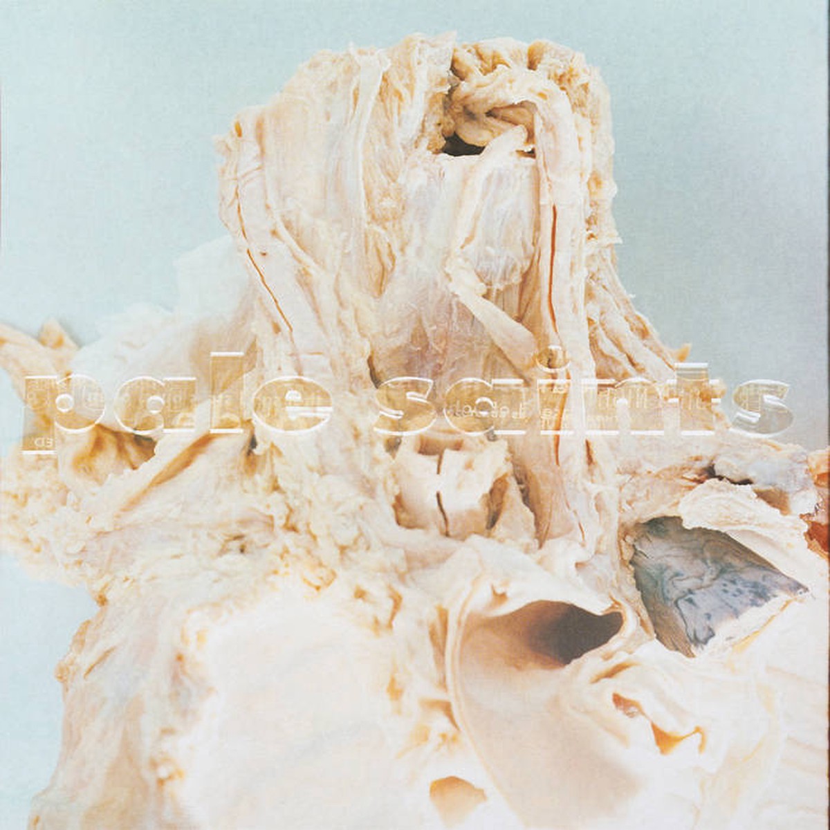 Pale Saints - In Ribbons 30th Anniversary Reissue