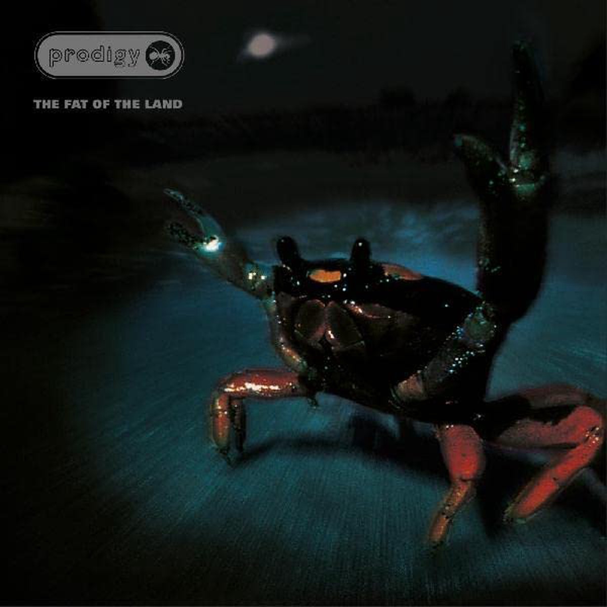 Prodigy - The Fat Of The Land
