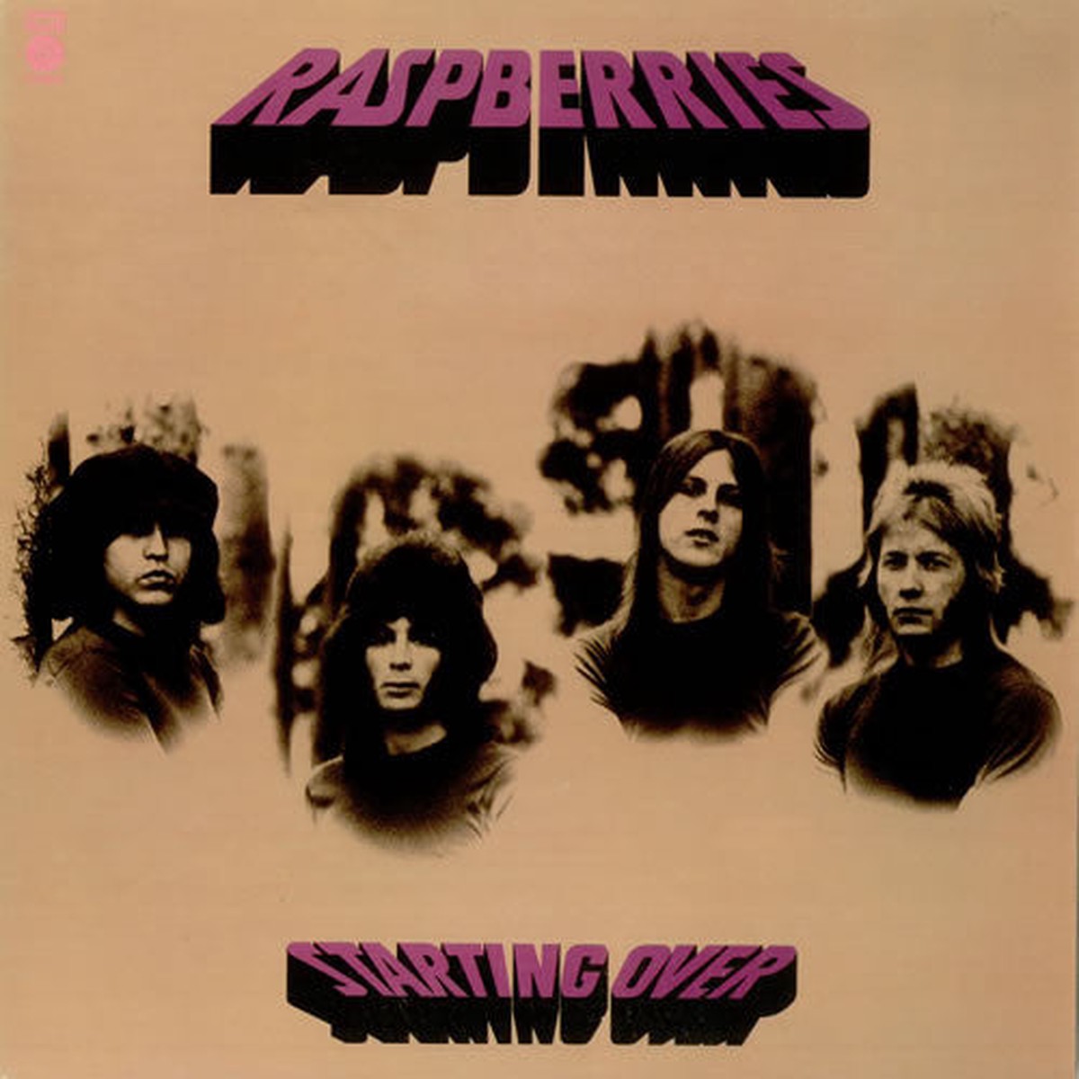 Raspberries - Starting Over (Vinyl, VG)