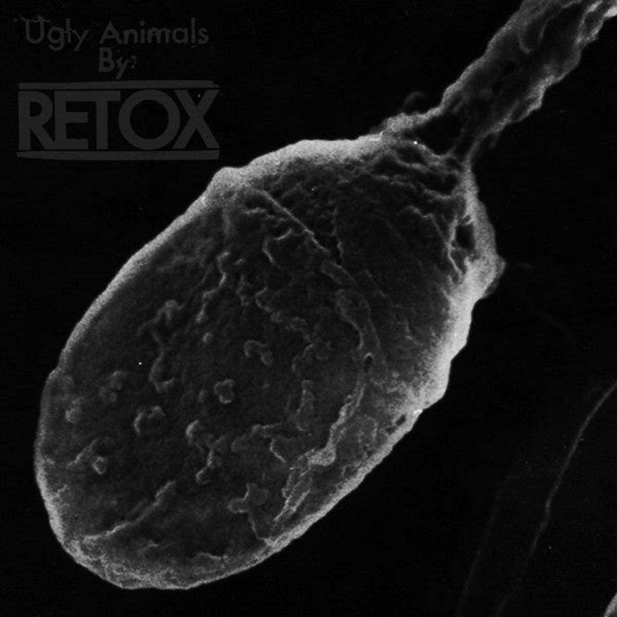 Retox - Ugly Animals (Vinyl, M)